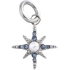 Alex and Ani Interchangeable Gemstone Charm​(Stainless Silver)