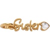 Alex and Ani Loved Ones Elongated Interchangeable Charms(Stainless Gold)