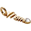 Alex and Ani Loved Ones Elongated Interchangeable Charms(Stainless Gold)