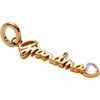 Alex and Ani Loved Ones Elongated Interchangeable Charms(Stainless Gold)