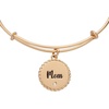 Alex and Ani Mom Charm Bangle Bracelet for Women(Shiny Gold)