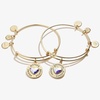 Alex and Ani Mother Daughter Charm Bangles, Set of 2(Shiny Gold)