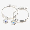 Alex and Ani Mother Daughter Charm Bangles, Set of 2(Shiny Silver)