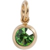 Alex and Ani October Birthstone Interchangeable Charm(Stainless Gold)