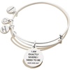 Alex and Ani Path of Life Bracelet(Rafaelian Silver Finish)