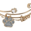 Alex and Ani Paws of Love’ Bracelet Set of 3(Gold)