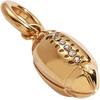 Alex and Ani Pickleball Duo Interchangeable Charm(Stainless Gold)