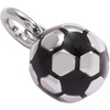 Alex and Ani Pickleball Duo Interchangeable Charm(Stainless Silver)