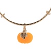 Alex and Ani Pumpkin Textured Bangle