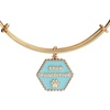 Alex and Ani Raise the Woof Dog Bangle(Stay Pawsitive Bangle)