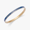 Alex and Ani Resilient Spirit’ Hinge Bangle