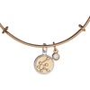Alex and Ani Sagittarius Zodiac Charm Bangle(Gold)
