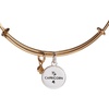 Alex and Ani Sagittarius Zodiac Charm Bangle(Stainless Two Tone)
