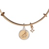 Alex and Ani Sagittarius Zodiac Charm Bangle(Stainless Two Tone)