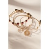 Alex and Ani Sagittarius Zodiac Charm Bangle(Stainless Two Tone)