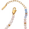 Alex and Ani Semi-Precious Beaded Anklet(Multi)