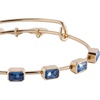 Alex and Ani September Birthstone Emerald Cut Bangle