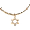 Alex and Ani Star of David Bangle(Gold)