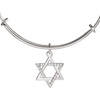 Alex and Ani Star of David Bangle(Silver)