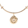 Alex and Ani Token of Love Charm Bangle