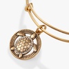 Alex and Ani Turtle Charm Bangle