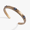 Alex and Ani Untamed Evil Eye Jewelry(Alex and Ani Untamed Evil Eye Cuff Bracelet)
