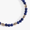 Alex and Ani Untamed Evil Eye Jewelry(Alex and Ani Untamed Evil Eye Lapis Bangle)