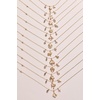 Alex and Ani Zodiac Charm Cluster Necklace(Virgo)