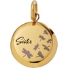 ALEX AND ANI Sister Dragonfly Disc Charm(Stainless Gold)