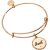 Alex and Ani Aunt Charm Bangle Bracelet for Women(Shiny Gold)