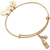 Alex and Ani Champagne Bangle