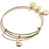 Alex and Ani Expandable Bangle for Women, Initials A to Z Letter Charms, Shiny Finish, 2 to 3.5 in(Gold)