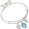 Alex and Ani Faith and Family Mother Mary Charm Bangle