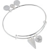 Alex and Ani First Anniversary Bangle(1 Year Anniversary)