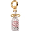 Alex and Ani ‘Future Wifey’ Champagne Charm, Two Tone