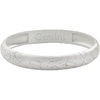 Alex and Ani Gemini Zodiac Hinge Bangle(Silver)