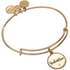 Alex and Ani Godmother Charm Bangle(Gold)