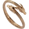 Alex and Ani HOUSE OF THE DRAGON Targaryen Jewelry(Antique Gold)
