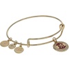 Alex and Ani Harry Potter™ Gryffindor House Charm Bangle