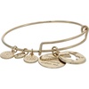Alex and Ani Hidden Message Butterfly Affirmation Bangle