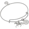 Alex and Ani Horse Rope Textured Charm Bangle(Shiny Silver)