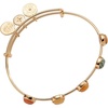 Alex and Ani In-Line Semi-Precious Gemstone Bangle