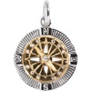 Alex and Ani Interchangeable Gemstone Charm​(Stainless Two Toned)