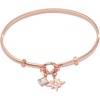 Alex and Ani North Star + Crystal Charm Clip Bangle(Shiny Rose Gold)