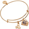 Alex and Ani Office MVP Bangle, Brass Shiny Gold