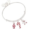 Alex and Ani Peppermint Candy Cane Bracelets(Candy Cane Charm Bangle)