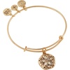 Alex and Ani Sand Dollar Charm Bangle
