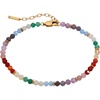 Alex and Ani Semi-Precious Beaded Anklet(Rainbow)