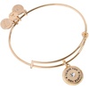 Alex and Ani Token of Love Charm Bangle