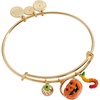 Multi Charm Bangle